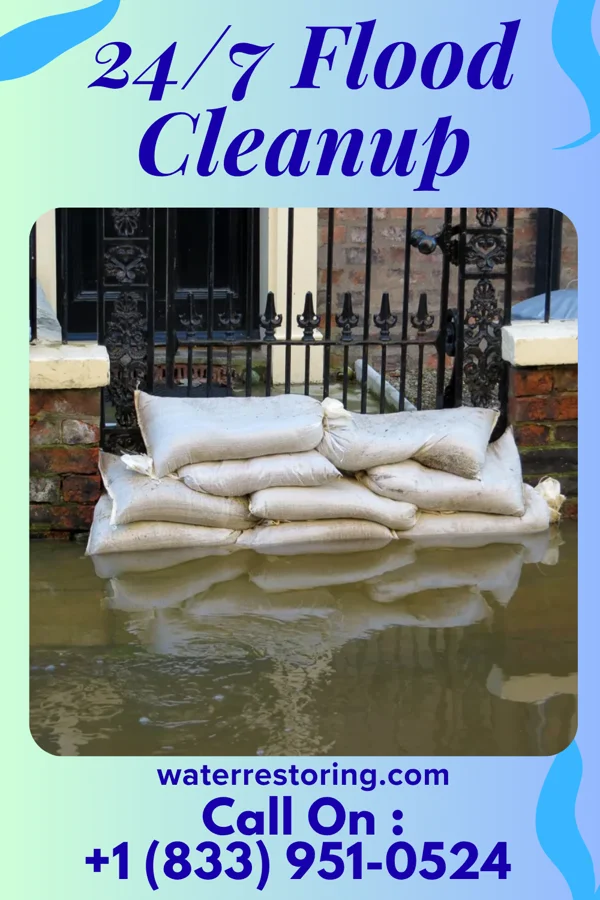 24/7 Flood Cleanup in Hills and Dales, OH