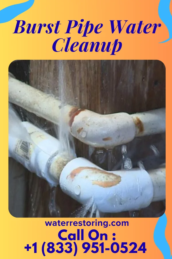 Burst Pipe Water Cleanup in Hills and Dales, OH