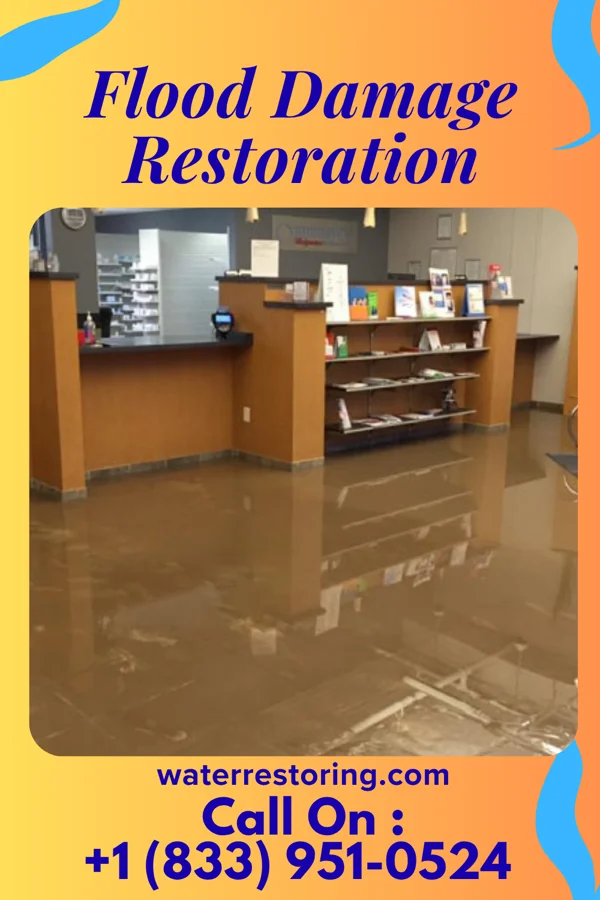 Flood Damage Restoration in Hills and Dales, OH
