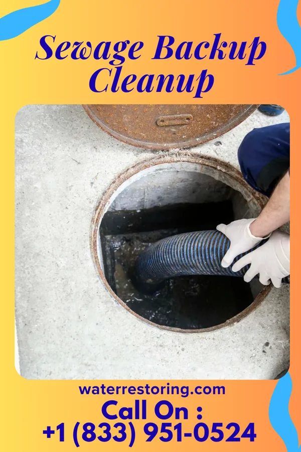 Sewage Backup Cleanup in Hills and Dales, OH