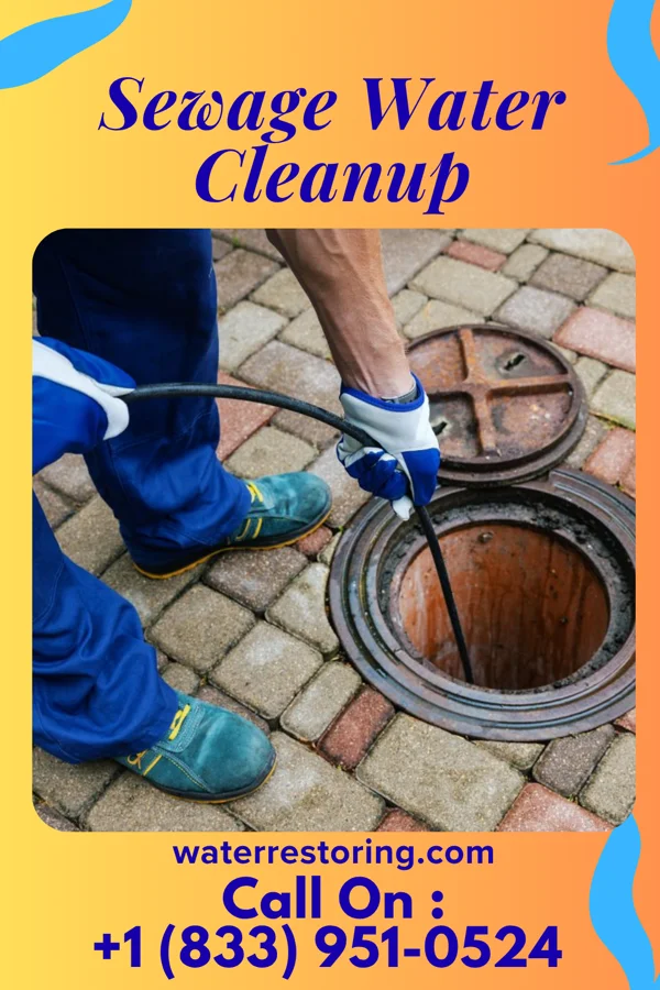 Sewage Water Cleanup in Hills and Dales, OH